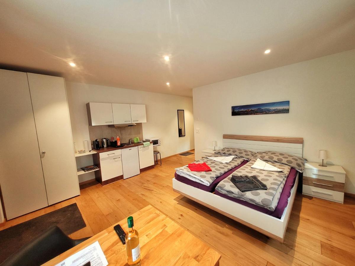 Brunnematta Appartement Ernen Buitenkant foto